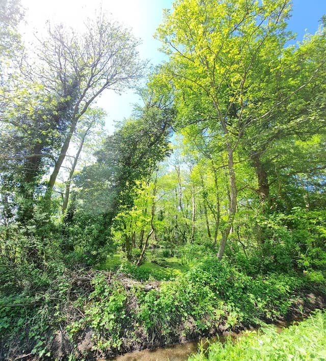 Landschaftsschutzgebiet CLP 90 "Vogelschutzgehölz" - Image 1