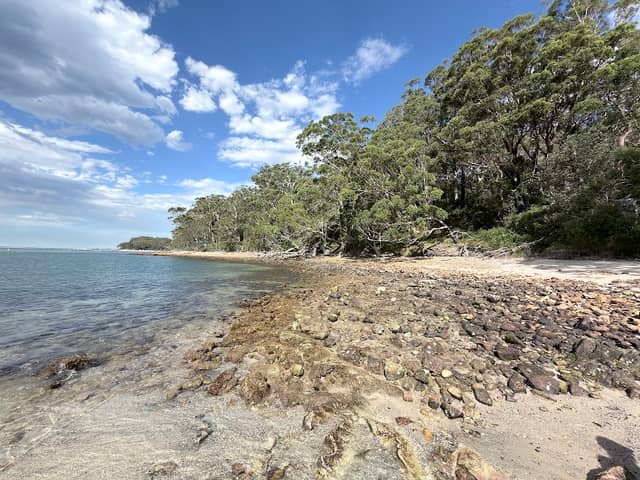 Fly Point Aquatic Reserve - Image 1