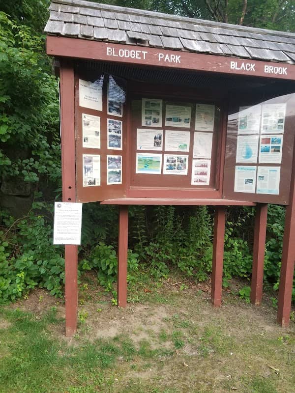 Blodget Park - Image 2