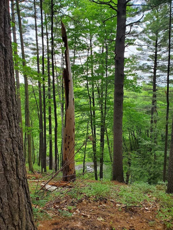 Blodget Park - Image 1