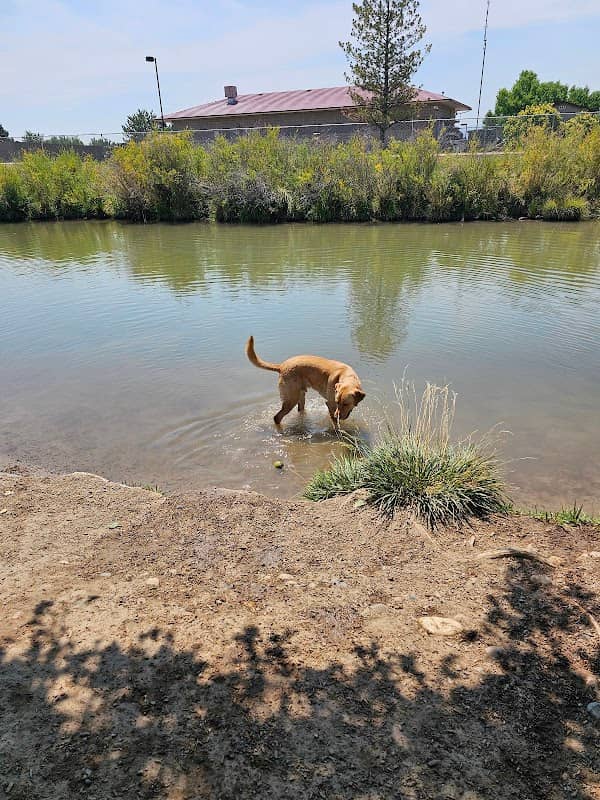 Canyon View Dog Park - Image 2