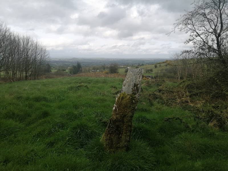 Patrickstown Standing Stone - Image 1
