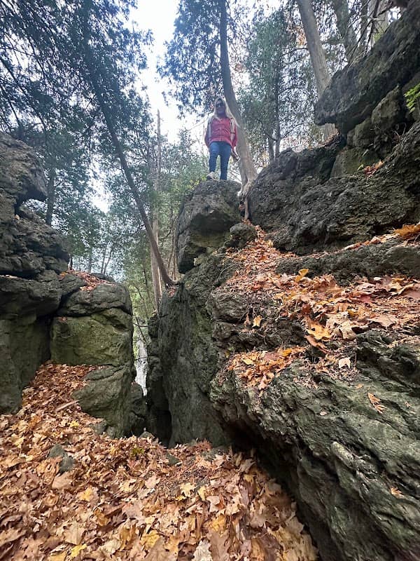 Mount Nemo Lookouts - Image 1