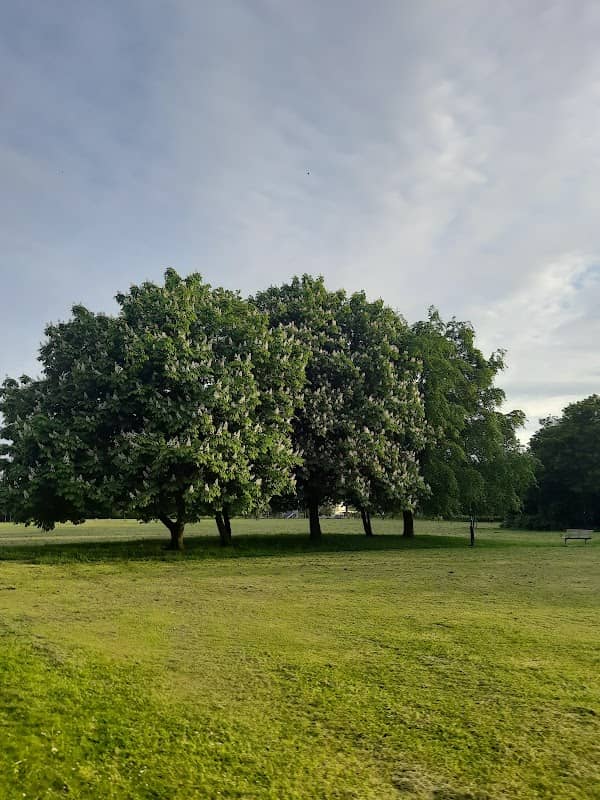Phoenix Park - Image 2