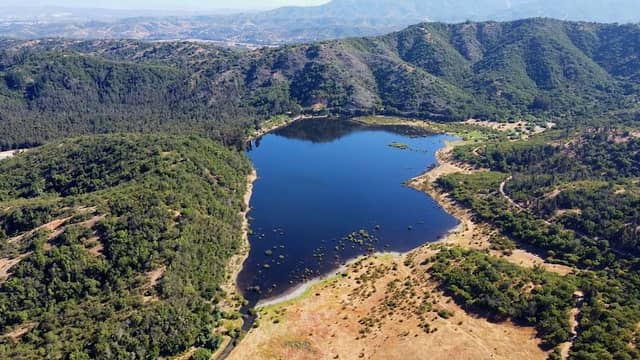Embalse Las Palmas - Image 1