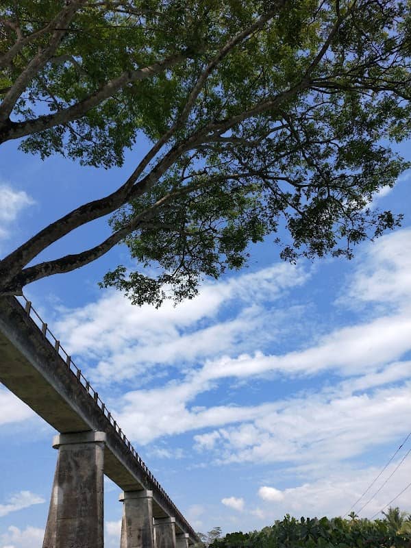Kannankara Aquaduct - Image 1