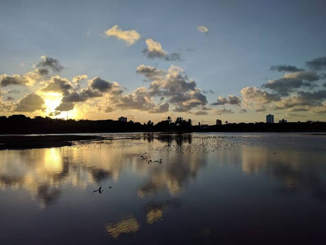 Parque dos Manguezais - Image 2