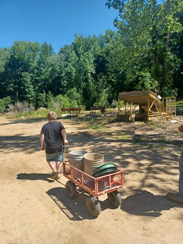 Mountain Creek Gold Mine - Image 2