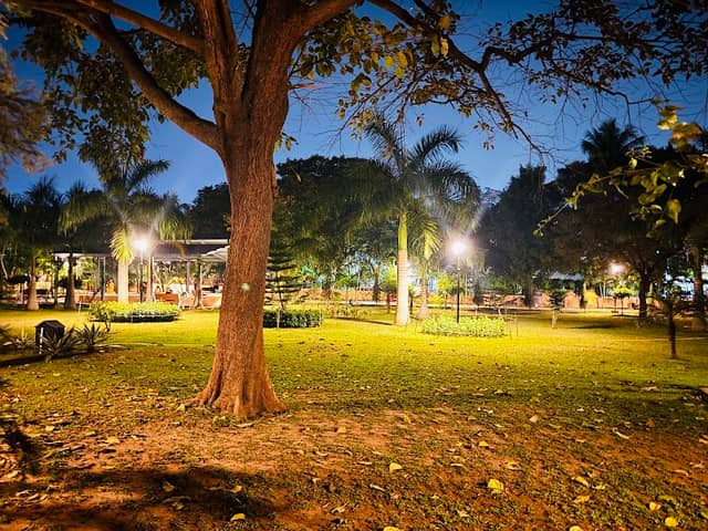 HIG Sailashree Vihar Phase VII Park - Image 1