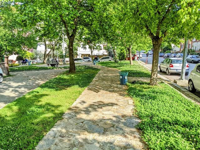 Park - Image 3