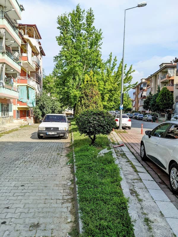 Park - Image 2
