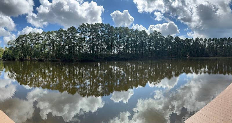 Pineywoods Camp - Image 1