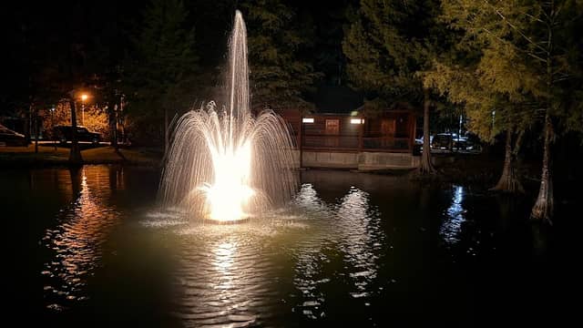 Pineywoods Camp - Image 1