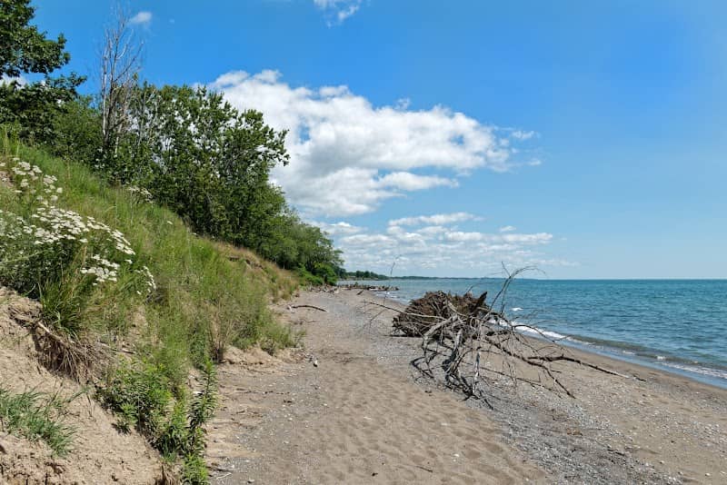 Wheatley Provincial Park Beach - Image 1