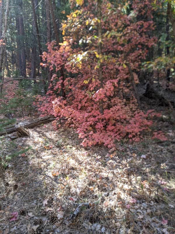 Fourth of July Trailhead - Image 2