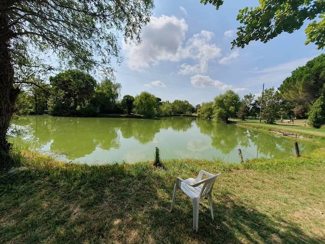Area Pic Nic Musestre - Image 1