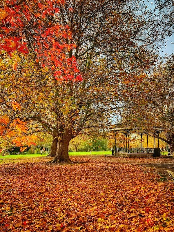 Mill Meadows Bandstand - Image 2