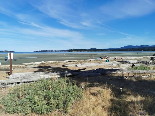 Rathtrevor Beach Provincial Park - Image 3