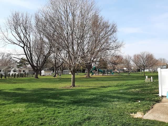 Holiday Park - Image 1