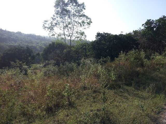 Brew hills - Image 1