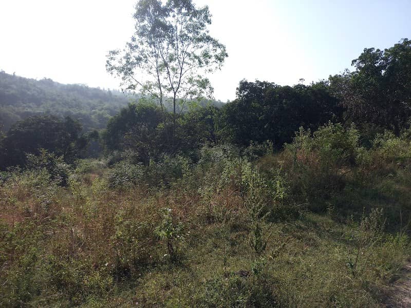 Brew hills - Image 1