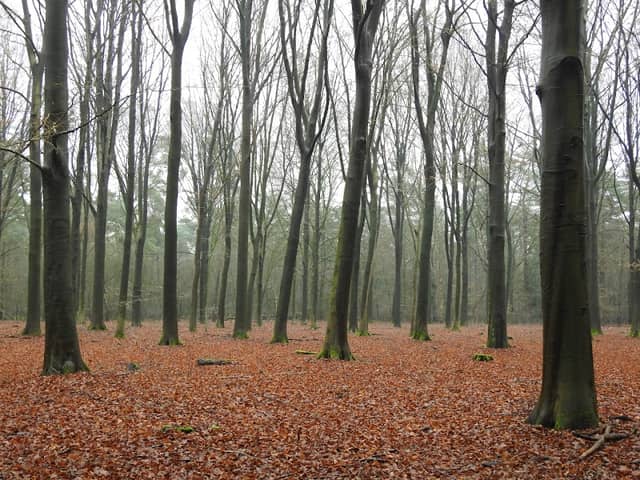 Het Zand - Image 1