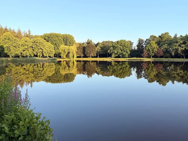 Gorechtpark - Image 3