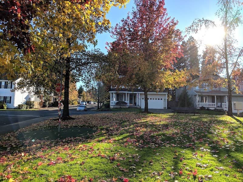 Park - Image 2