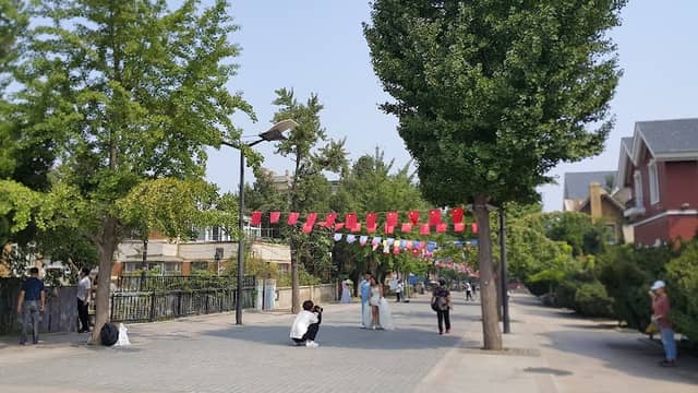 Dalian Landscape Garden Office Botanical Garden (North Gate 1) - Image 1