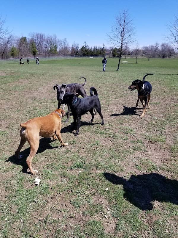 Burgoyne Woods Dog Park - Image 1