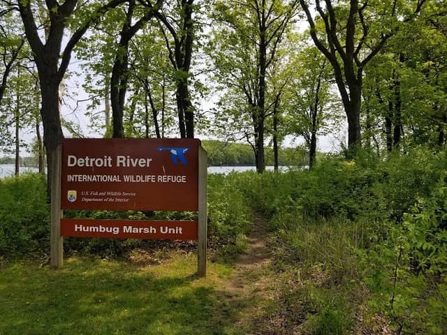 Detroit River International Wildlife Refuge - Image 2