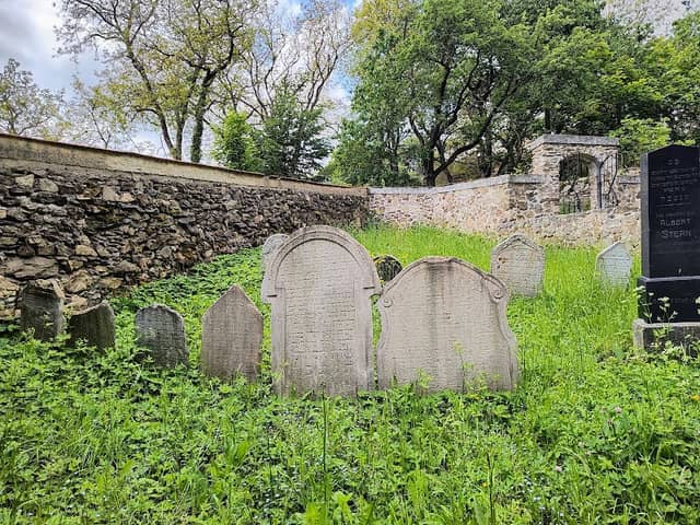 Židovský hřbitov - Image 1