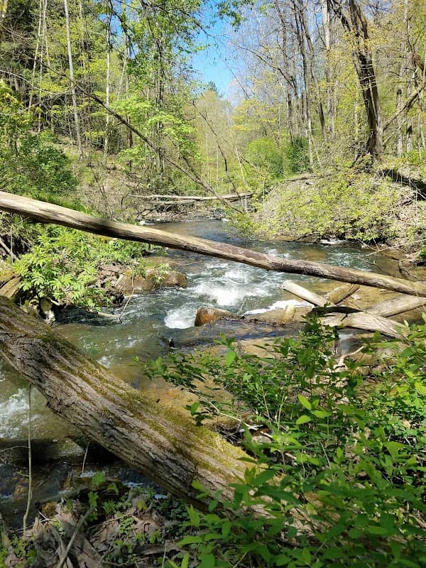 Marshall Memorial Park - Image 1