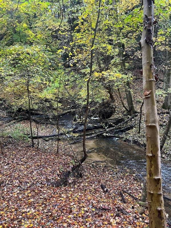 Marshall Memorial Park - Image 2