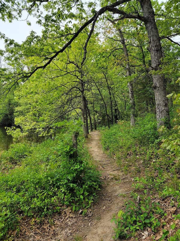 Pertle Spring Trail System - Image 2