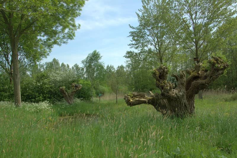 Natuurcentrum De Schaapskooi - Image 1