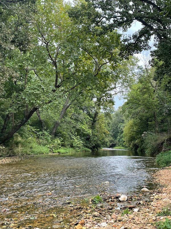 JB Hunt Nature Preserve - Image 2