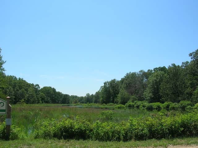 Grand Beach Marsh Nature Preserve - Image 1