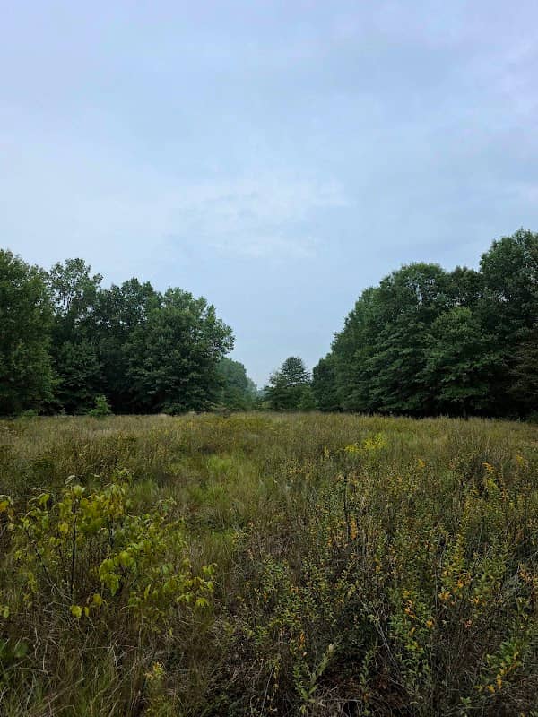 Grand Beach Marsh Nature Preserve - Image 3