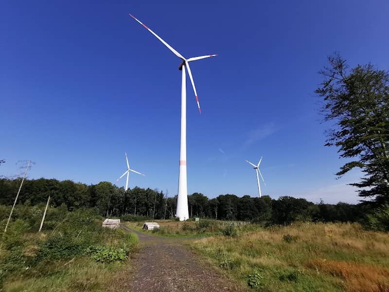 Westerburger Kopf - Image 1