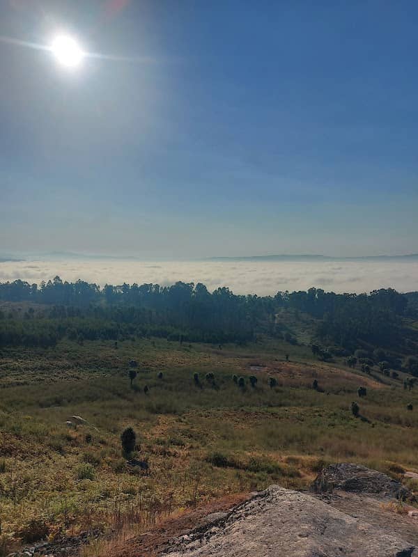 Monte do Castelo - Image 1