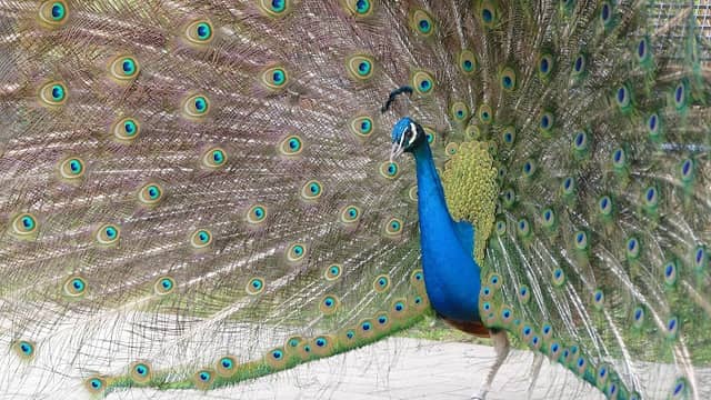 Tierpark Recklinghausen - Image 1