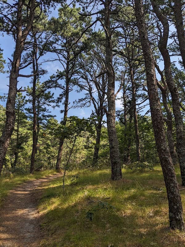 Fox Island Marsh trailhead & parking - Image 2