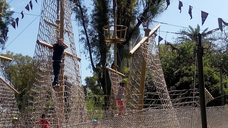 The Children's Garden - Image 2