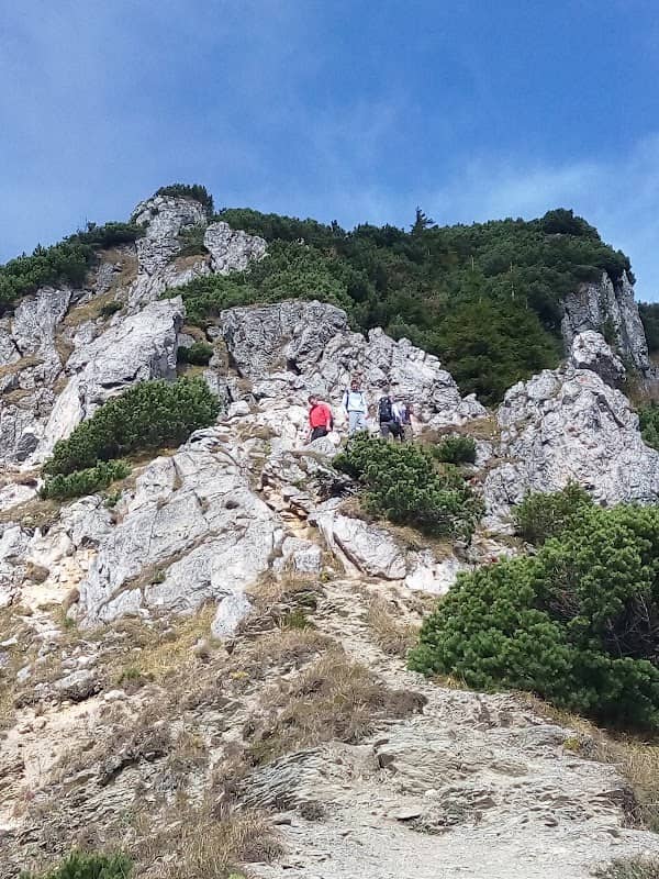 Staňo Ľuboš - Dekort - Image 1