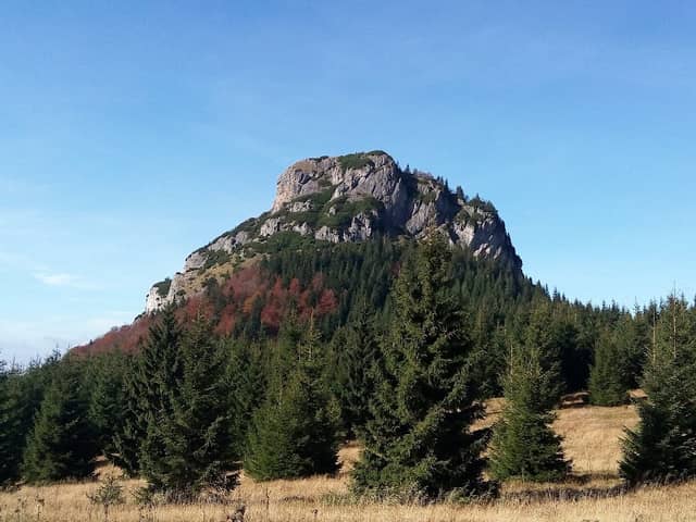 Staňo Ľuboš - Dekort - Image 2