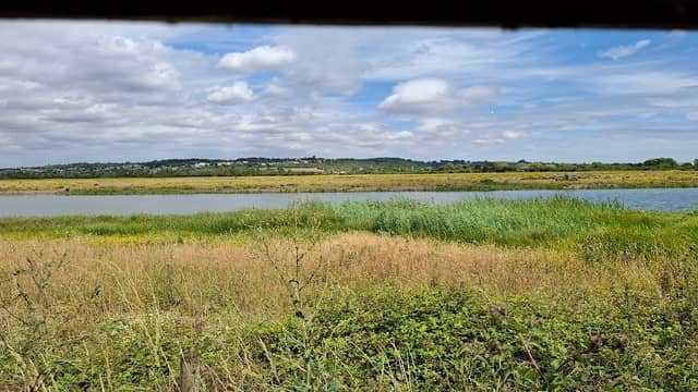 RSPB West Canvey Marsh - Image 2