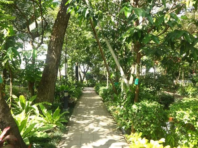 Sirithra Phrueksa Phan Park - Image 2