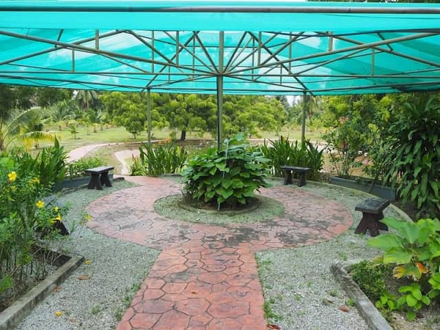 Pusat Agro Padang Matsirat, Langkawi - Image 1