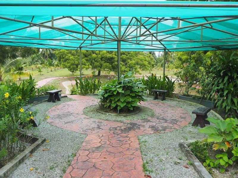 Pusat Agro Padang Matsirat, Langkawi - Image 1